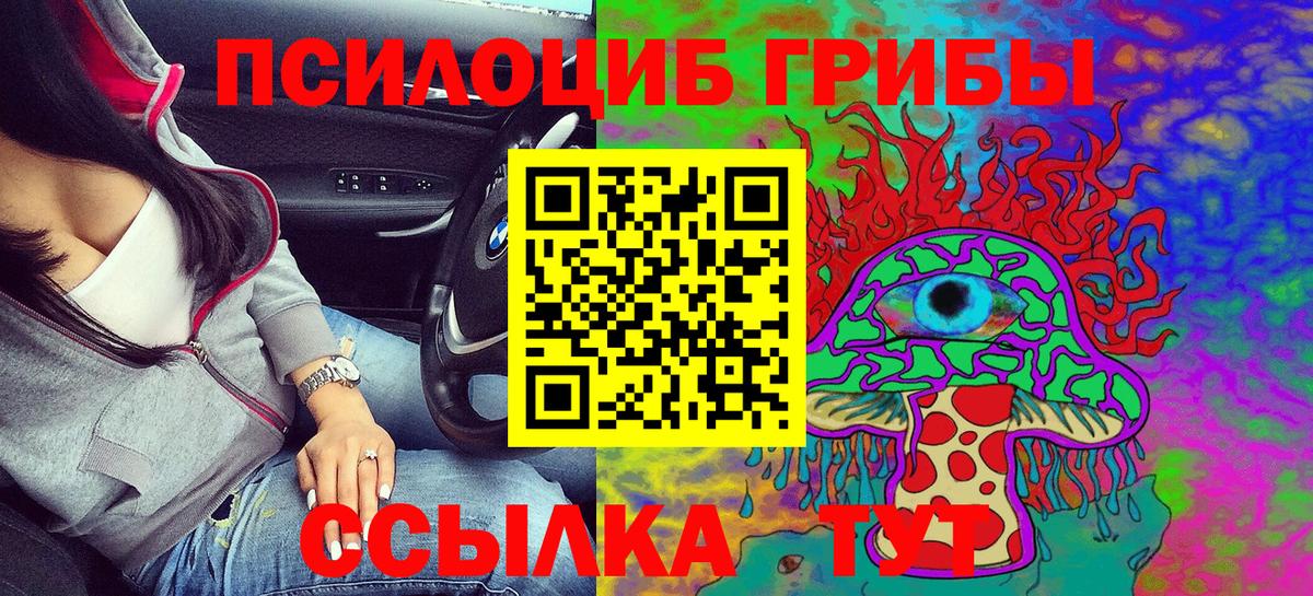 Полевской  Псилоцибиновые грибы Cubensis  Вход с VPN 